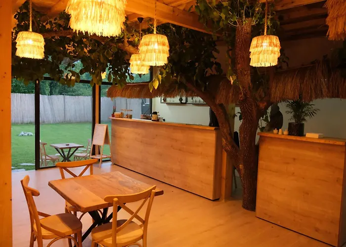 Rain Sapanca * 사카리아